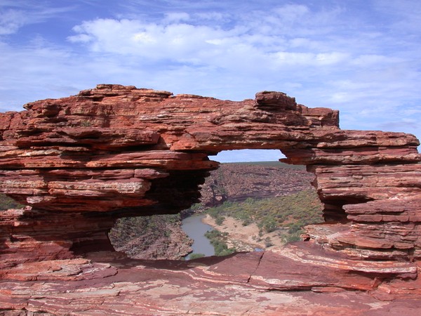 Nature's Window
